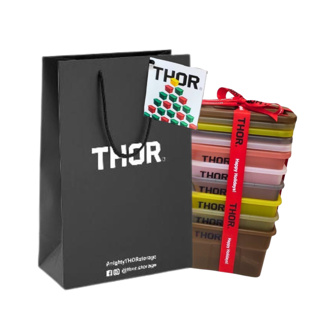 Paper Bag with Holiday Gift Card GWP